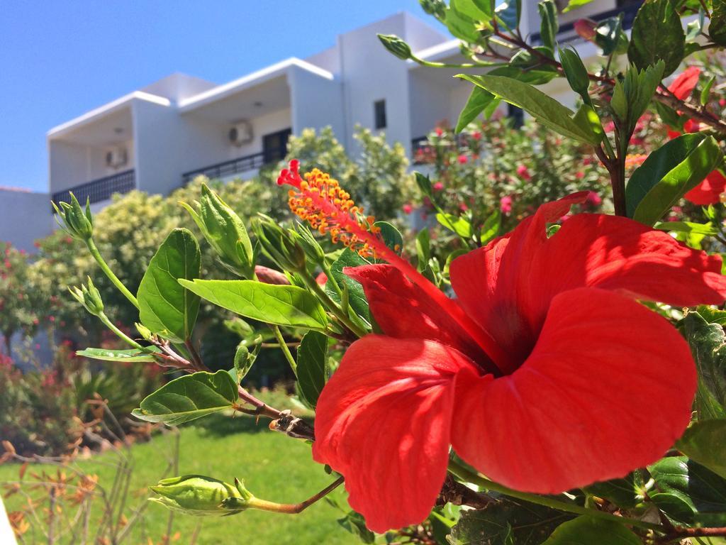 Debby Apartments เอียลิซอส ภายนอก รูปภาพ