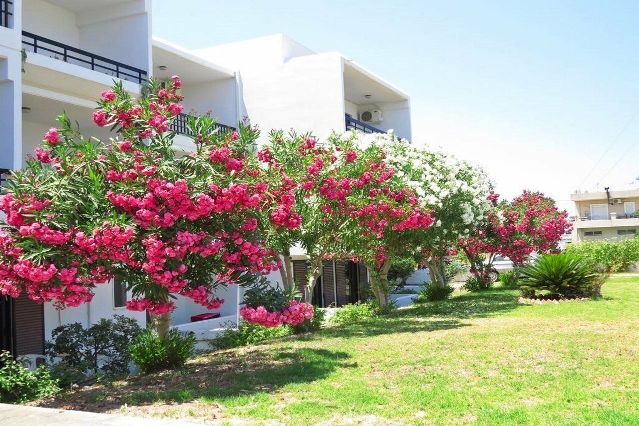 Debby Apartments เอียลิซอส ภายนอก รูปภาพ